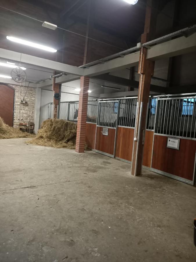Apartament U Agaty Czernichow Krakow Zator Extérieur photo